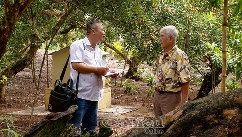 Lão nông Trương Kiết (khóm Giồng Nhãn, phường Hiệp Thành) chia sẻ với phóng viên Báo và phát thanh, truyền hình Cà Mau về nỗi lo giá nhãn đầu vụ sụt giảm mạnh.