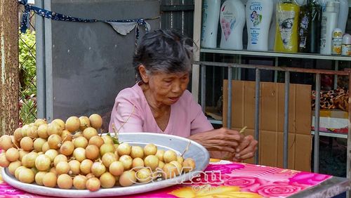 Bày sạp bán nhãn ven đường cho khách vãng lai, bà Đỗ Thị Suối (khóm Giồng Nhãn, phường Hiệp Thành) không ngơi nỗi lo khi giá xuống thấp, lại sợ thất mùa do mưa đêm làm rụng trái.