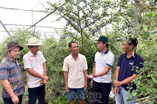 Đồng chí Võ Văn Dũng tham quan vườn táo với 300 gốc của nông dân Phạm Thanh Phương tại ấp Thông Lưu, xã Vĩnh Lợi.