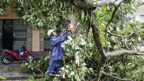 Các lực lượng và nhân dân nhanh chóng cắt dọn các cây bị đổ làm chắn lối đi. Ảnh: TTXVN