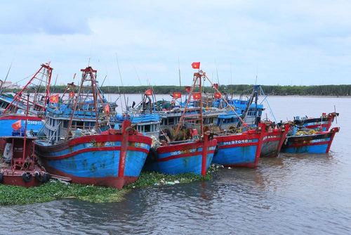 Tàu thuyền neo đậu tại cảng cá Thành Vui, xã Hải Thịnh để tránh trú bão. Ảnh: Công Luật - TTXVN