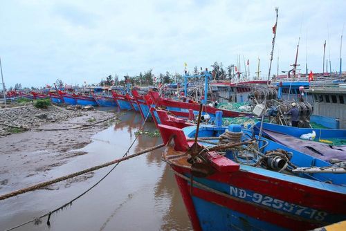 Tàu đang chuẩn bị vào bến tại cảng cá Ninh Cơ để tránh trú bão. Ảnh: Công Luật - TTXVN