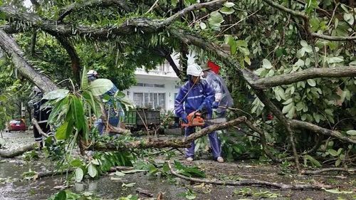 Lực lượng chức năng cắt tỉa, dọn cây đổ tại các tuyến đường, bảo đảm an toàn giao thông và sinh hoạt cho người dân ở phường Móng Cái 1. (Ảnh: Trung tâm cung ứng dịch vụ phường Móng Cái 1)