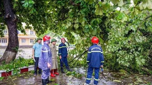 Lực lượng chức năng xã Quảng Hà khẩn trương khắc phục hậu quả do bão số 1 gây ra, bảo đảm ổn định đời sống, sinh hoạt cho nhân dân. (Ảnh: Trung tâm cung ứng dịch vụ xã Quảng Hà)