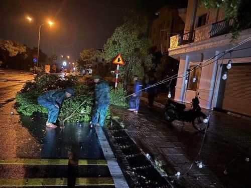 Ban Chỉ huy Quân sự xã Quảng Hà thu dọn cây xanh, giải tỏa vật cản, giải phóng các tuyến giao thông. Ảnh: FB Thông tin - Truyền thông Quảng Hà.