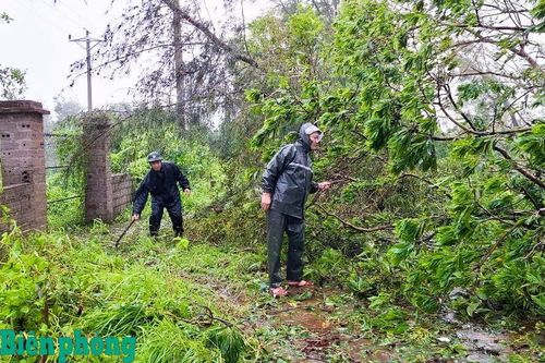 Cán bộ, chiến sĩ Đồn Biên phòng Đồng Văn phối hợp với nhân dân dọn dẹp cây xanh gãy đổ sau bão số 1. Ảnh: Hữu Khoa