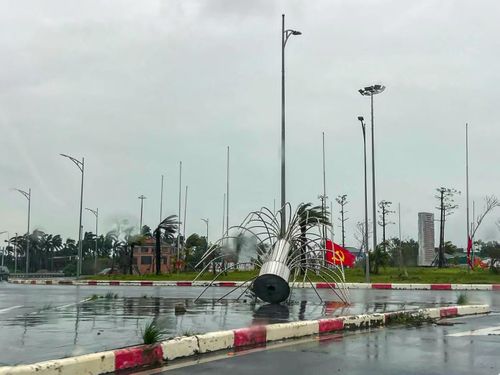 Bí thư yêu cầu các đơn vị chức năng khẩn trương khắc phục sự cố về điện, tổ chức cắt tỉa, thu dọn cây xanh gãy đổ, giải tỏa các điểm ách tắc, bảo đảm giao thông thông suốt, tạo điều kiện để người dân sớm ổn định đời sống và sản xuất.