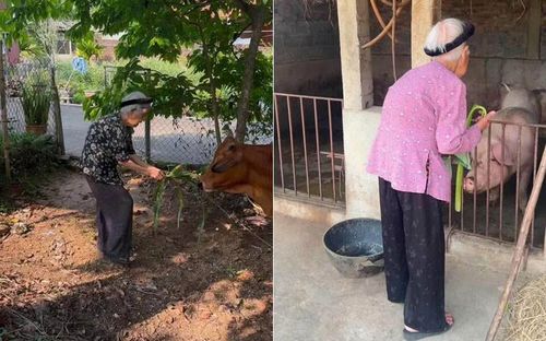 Cụ Xoán giúp con cháu làm việc nhà