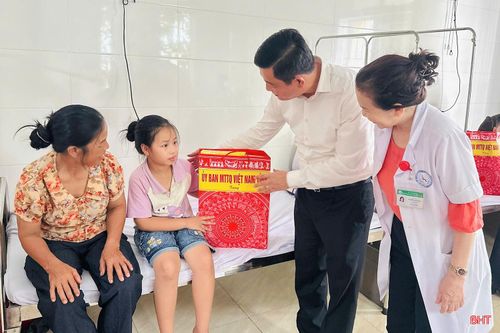 Tỉnh đoàn đã phối hợp trao 200 suất quà với tổng trị giá 200 triệu đồng tới trẻ em khuyết tật, trẻ em yếu thế và trẻ em hoàn cảnh đặc biệt khó khăn.