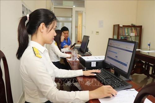 Ảnh minh họa: Thu Hiền/TTXVN