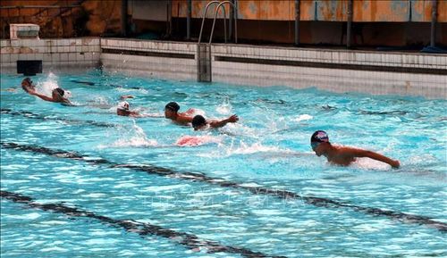 Trình diễn các kiểu bơi cơ bản.