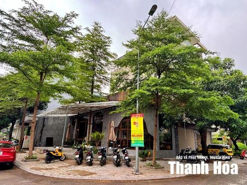 Cây xanh được trồng đan xen nhau tạo thành điểm nhấn riêng cho ngôi nhà.