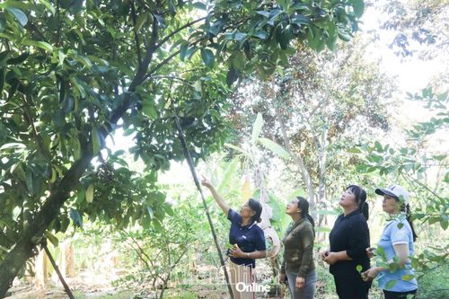 Bà Phạm Thị Màu (bìa trái) chia sẻ kinh nghiệm trồng măng cụt cho các chị em.