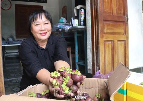 Bà Bùi Thị Nguyên Trang vui mừng vì vụ măng cụt năm nay đạt sản lượng tốt.