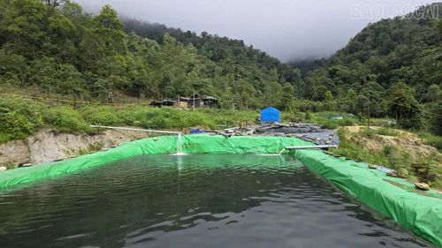Toàn cảnh khu trang trại của Hờ A Vàng nằm bên cạnh những cánh rừng già.