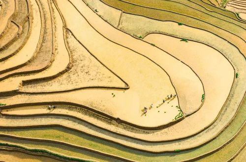 Từ trên cao nhìn xuống, những thửa ruộng bậc thang mùa nước đổ chồng chồng, lớp lớp như những chiếc vân tay khổng lồ của trời.