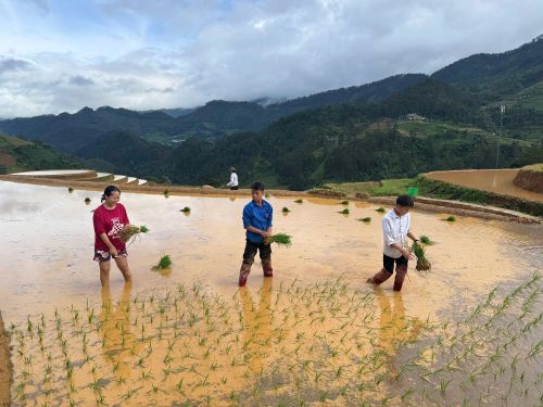 Không chỉ mang vẻ đẹp thiên nhiên đặc sắc, mùa nước đổ ở Mù Cang Chải còn phản ánh nét đẹp lao động cần cù của đồng bào vùng cao nơi đây.