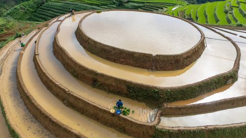 Những thửa ruộng lấp lánh như hàng ngàn chiếc gương khổng lồ phản chiếu bầu trời.