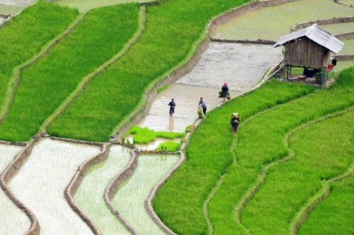 Mù Cang Chải mùa nước đổ là khoảnh khắc kỳ diệu của thiên nhiên - bức tranh sống động và đầy màu sắc mà bất kỳ ai yêu mến vẻ đẹp của núi rừng Tây Bắc không nên bỏ lỡ.