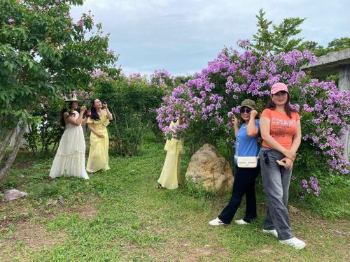 Giới trẻ xúng xính váy áo, hào hứng ghi lại những khoảnh khắc trong mùa hoa bằng lăng tại khu vực Lầu Ông Hoàng