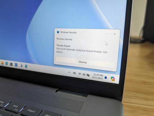 Hãy chạy quét virus nếu lo lắng có phần mềm độc hại xâm nhập máy tính cá nhân. Ảnh: IDG