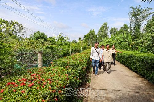 Chi ủy, Ban Nhân dân ấp Cái Bát, Xã Lương Thế Trân, khảo sát thực tế địa bàn, lắng nghe ý kiến Nhân dân trước khi triển khai phương án sắp xếp ấp.