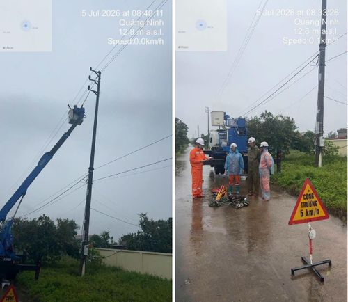Lực lượng Điện lực Quảng Ninh triển khai sửa chữa lưới điện bị hư hỏng do ảnh hưởng của bão số 1 và hoàn lưu sau bão. Ảnh: EVNNPC