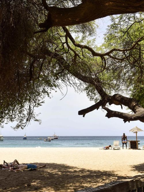  Một góc rợp bóng mát trên bãi biển Tarrafal, điểm nghỉ dưỡng nổi tiếng của Cape Verde. Ảnh: Condé Nast Traveler.