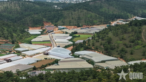 Đường Cam Ly - Phước Thành góp phần giảm tải ùn tắc giao thông và tạo động lực phát triển khu vực phía Tây và phía Bắc đô thị Đà Lạt.