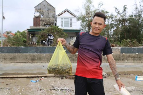 Nếu gặp đúng khu vực hải sản tập trung, chỉ trong thời gian ngắn có thể nhặt được hàng chục ki-lô-gam. (Ảnh: TV)