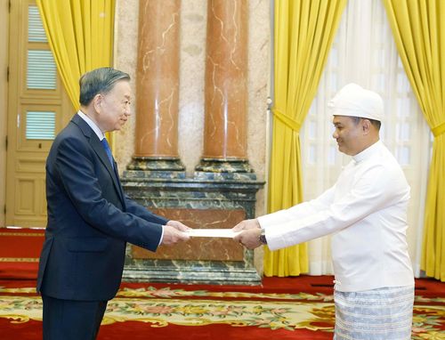Tổng Bí thư, Chủ tịch nước Tô Lâm nhận Quốc thư từ Đại sứ Myanmar Wai Linn. Ảnh: TTXVN