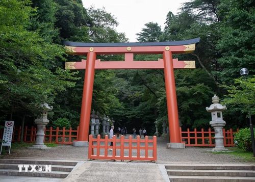 Con đường dẫn lên đền Katori Jingu bao quanh bởi những hàng cây cổ thụ xanh mát, tạo nên bầu không khí trang nghiêm và yên tĩnh. (Ảnh: Xuân Giao/TTXVN)