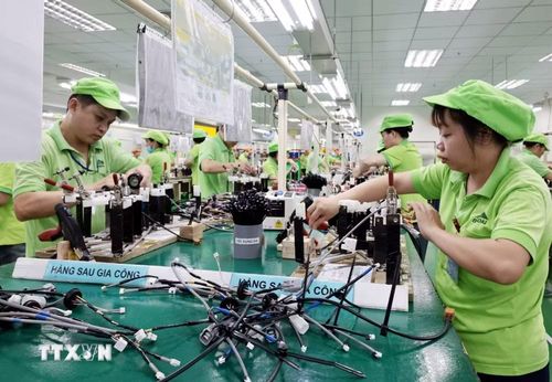 Dây chuyền sản xuất cụm dây dẫn điện tại Công ty Bandai. Ảnh: Trần Việt - TTXVN