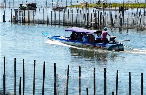 Du khách tham quan trên Đầm Chuồn, thành phố Huế, bằng ghe thuyền. Ảnh: Nguyên Lý/TTXVN