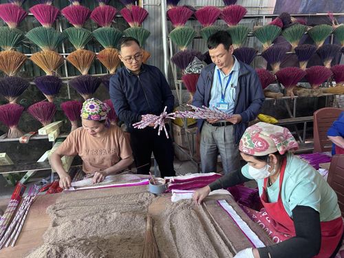 Khơi thông nội lực thực hiện Chương trình Mục tiêu quốc gia các xã miền núi Nghệ An. Ảnh: TTXVN