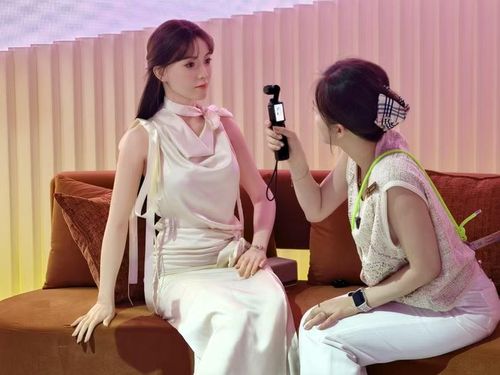 Phóng viên Nhật báo Khoa học kỹ thuật Trung Quốc phỏng vấn robot. Ảnh: Sohu.