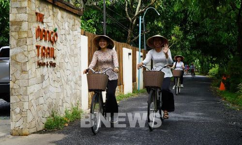 Du khách đạp xe tham quan cung đường xoài ở xã Mỹ Thọ, tỉnh Đồng Tháp. Ảnh: Nhựt An - TTXVN