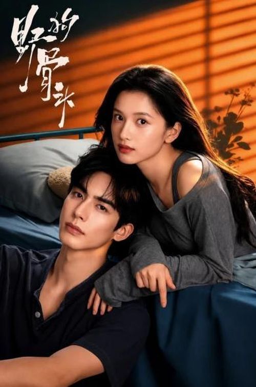Chó Hoang Và Xương đánh dấu lần hợp tác đầu tiên của Trương Tịnh Nghi và Tống Uy Long.