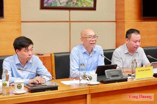 Ông Trần Thanh Hải, Phó Cục trưởng Cục Xuất nhập khẩu phát biểu tại buổi làm việc. Ảnh: Quỳnh Trang