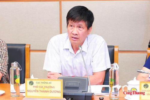 Ông Nguyễn Thanh Dương, Phó Cục trưởng Cục Thống kê phát biểu tại buổi làm việc. Ảnh: Quỳnh Trang