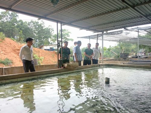 Lãnh đạo tỉnh thăm một số mô hình nuôi cá tầm ở Việt Hồng.