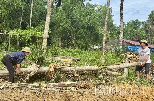 Người dân tự nguyện hiến đất, thu dọn cây cối vật kiến trúc giải phóng mặt bằng cho Dự án.