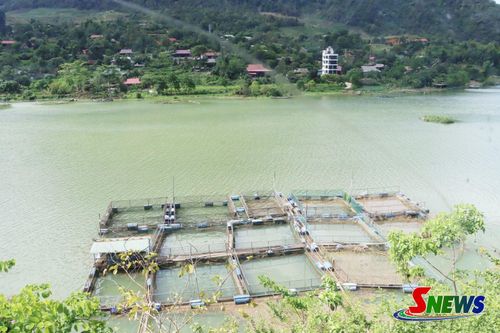 Mô hình nuôi cá lồng của nhân dân xã Mường Cơi.