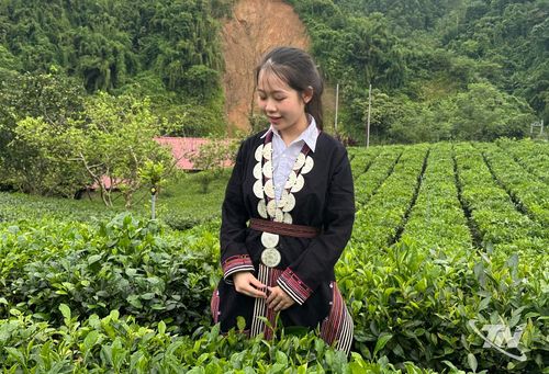 Ngọc Anh làm video giới thiệu quê hương.