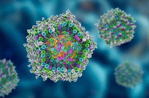 Vaccine mRNA dạng hạt nano lipid. Ảnh: Kateryna Kon/Shutterstock