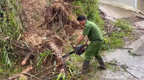 Công an xã Mù Cang Chải sử dụng cưa, máy cắt, di dời cây đổ chắn đường.