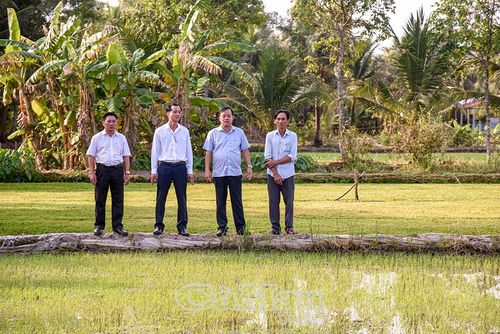 Đồng chí Huỳnh Quốc Việt, Phó Bí thư Thường trực Tỉnh ủy (thứ hai từ phải sang), tham quan mô hình trồng lúa phát thải thấp của Hợp tác xã Hồng Phát, xã Vĩnh Thanh.