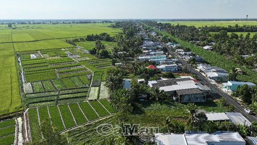 Cánh đồng và vườn rau ở Vĩnh Thanh đang được định hình thành “điểm chạm” trải nghiệm du lịch nông nghiệp xanh. Ảnh: KIỀU NƯƠNG.