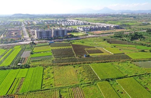 Luật Thủ đô năm 2026 tạo cơ chế phân quyền, phân cấp cho thành phố Hà Nội trong lĩnh vực quản lý đất đai. Ảnh: Phạm Hùng