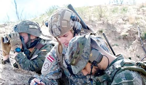 Tuy nhiên, tại một sự kiện ở Hội đồng Đại Tây Dương tại Washington, Tổng thư ký NATO cảnh báo ngân sách quốc phòng của châu Âu đã chạm tới "giới hạn năng lực hấp thụ".
